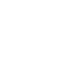self